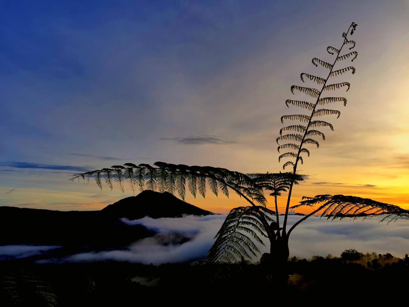 Homestay Batur View - Loft *
